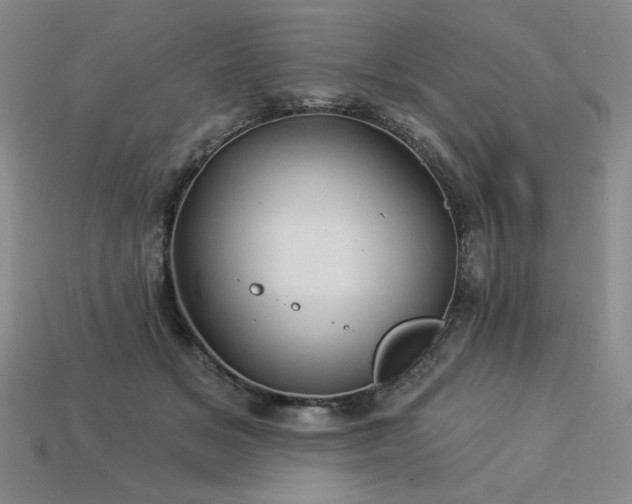 X0000113940509200909251243