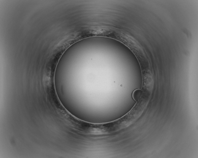 X0000113940510200909251243