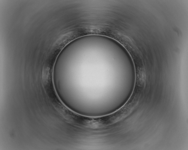 X0000113940511200909251243