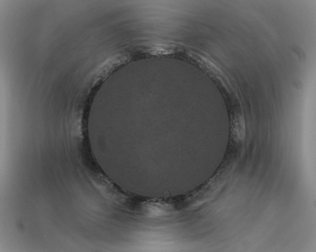 X0000113940512200909251243