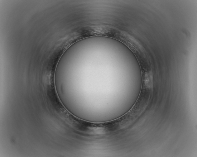 X0000113940514200909251243