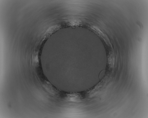 X0000113940516200909251243