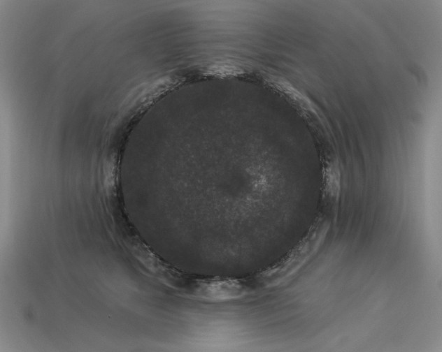 X0000113940517200909251243