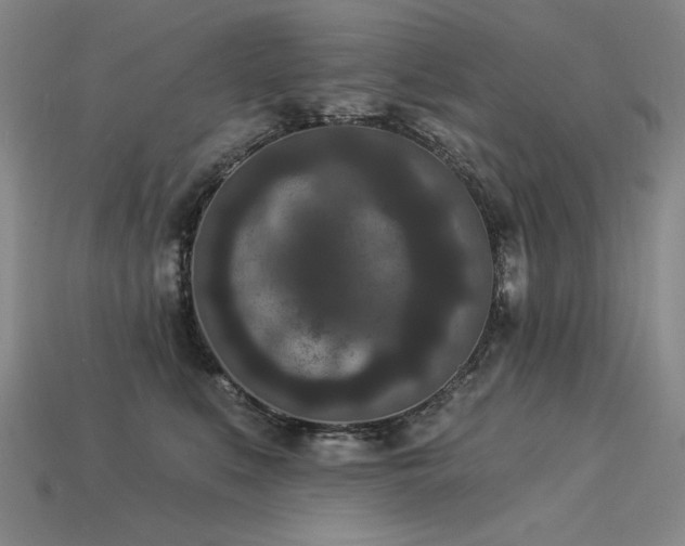 X0000113940519200909251243