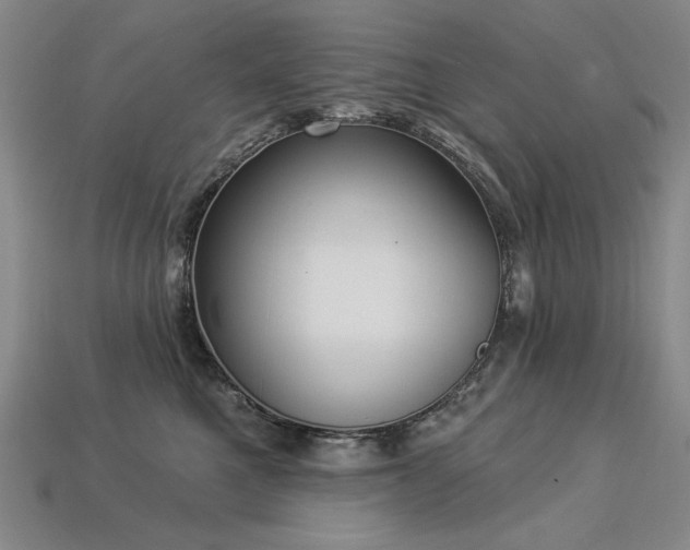 X0000113940521200909251243