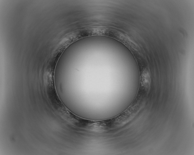 X0000113940522200909251243