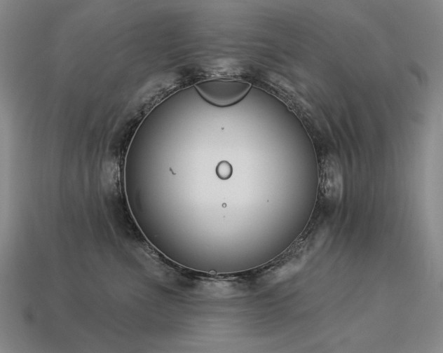 X0000113940523200909251243