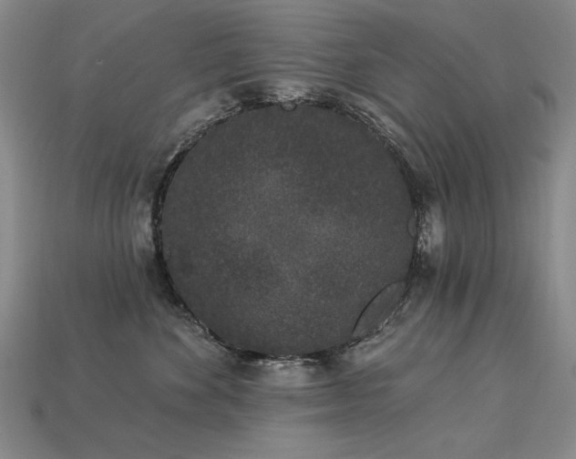 X0000113940524200909251243