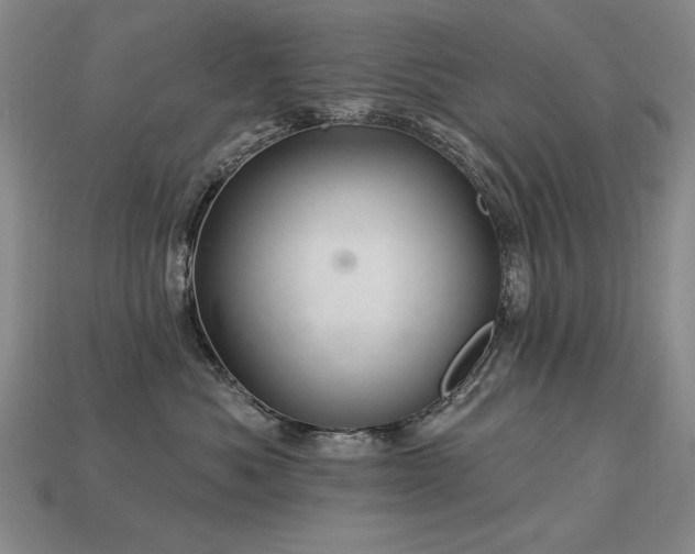 X0000113940525200909251243