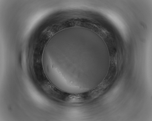 X0000113940526200909251243