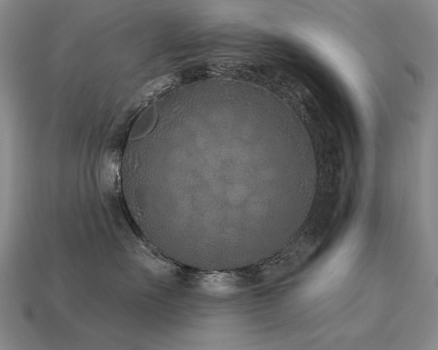 X0000113940527200909251243