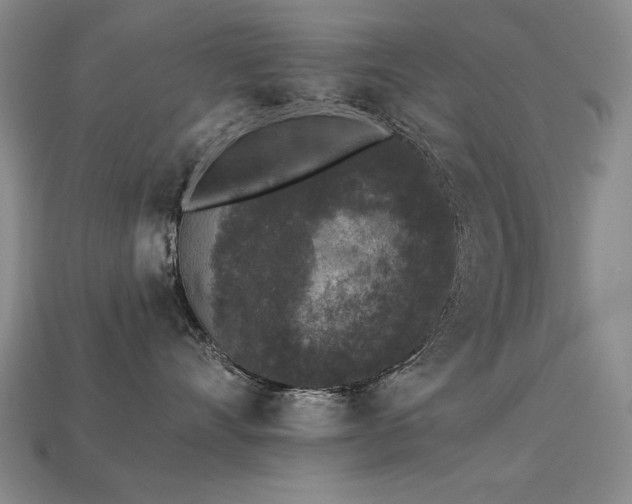 X0000113940528200909251243