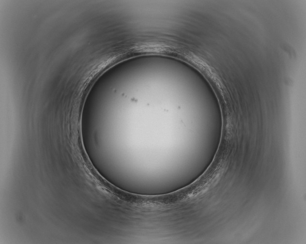 X0000113940529200909251242