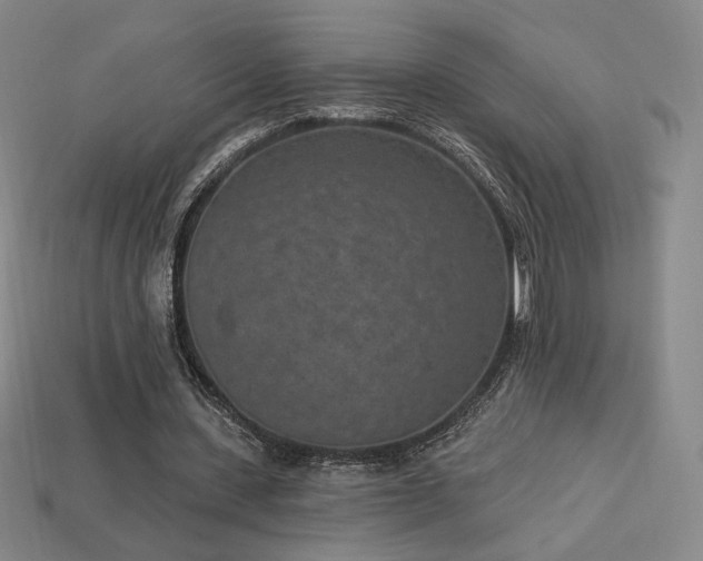 X0000113940531200909251242