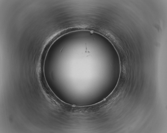 X0000113940532200909251242