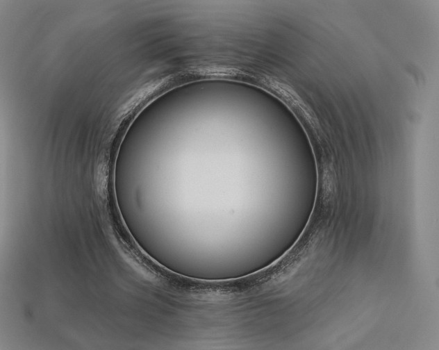 X0000113940533200909251242