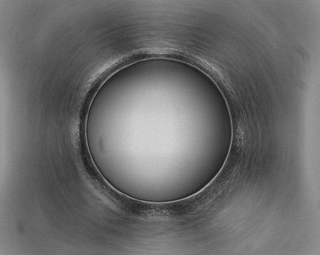 X0000113940535200909251242