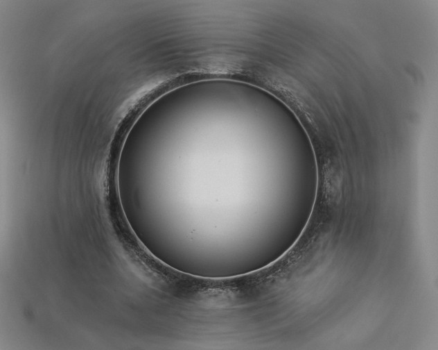 X0000113940536200909251242