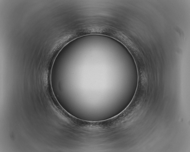 X0000113940537200909251242