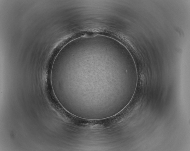 X0000113940539200909251242
