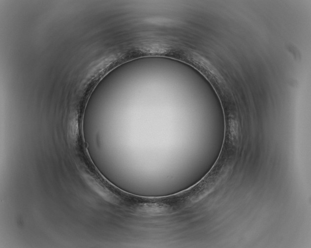 X0000113940541200909251242