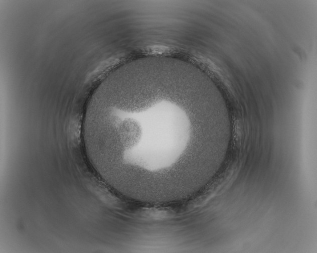 X0000113940545200909251242