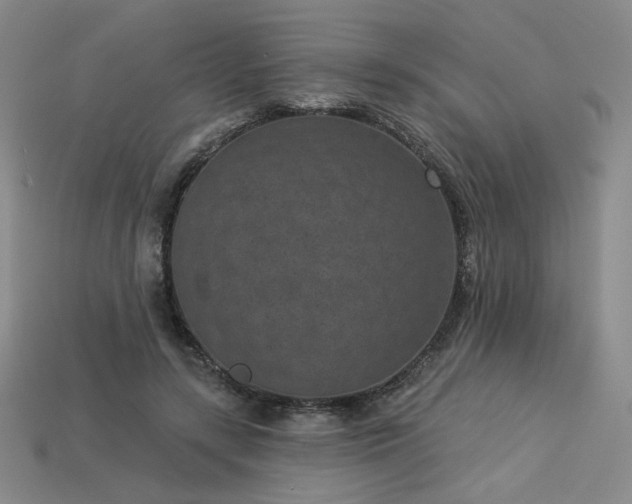 X0000113940547200909251242