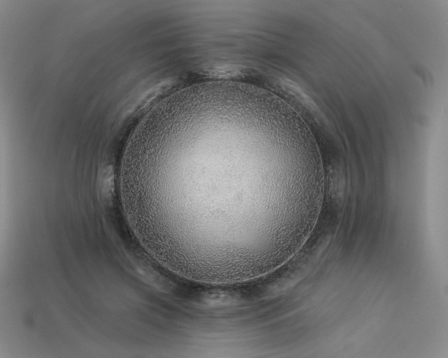 X0000113940549200909251242