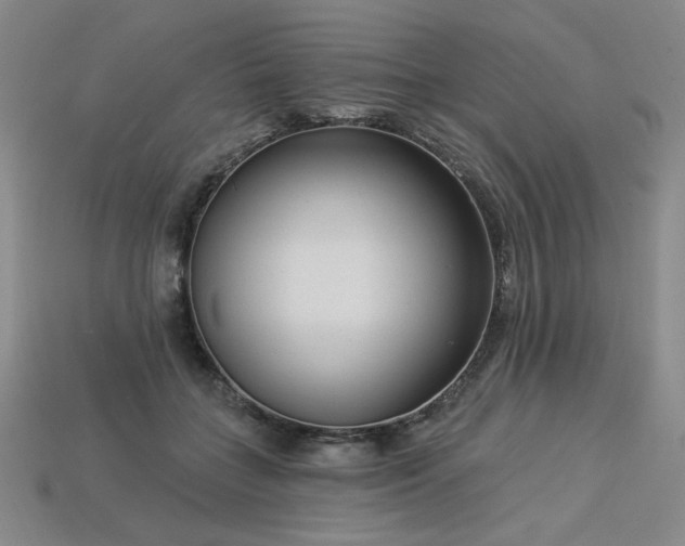 X0000113940555200909251242