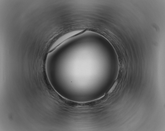 X0000113940556200909251242