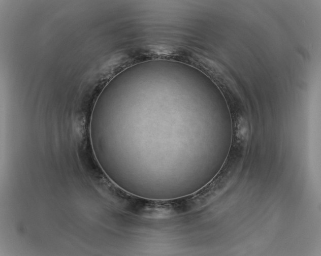 X0000113940559200909251243