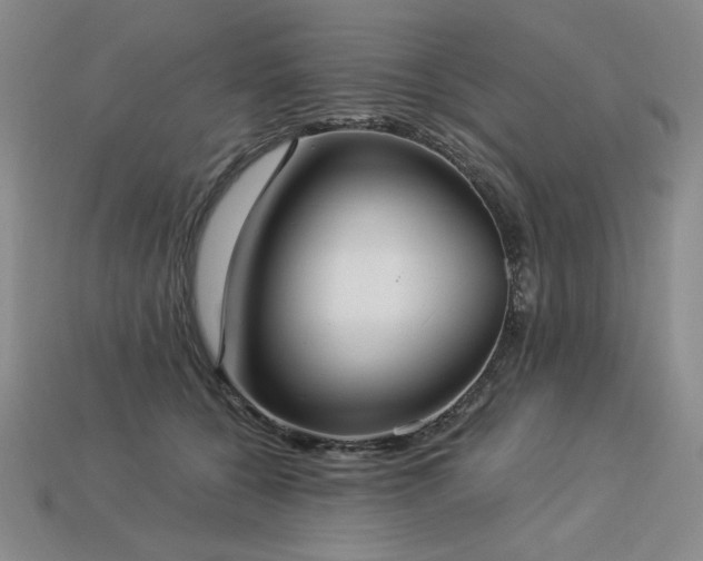 X0000113940560200909251243