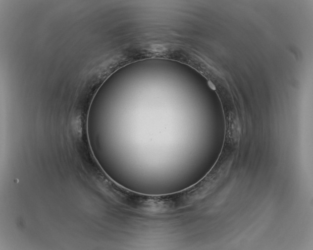 X0000113940562200909251243