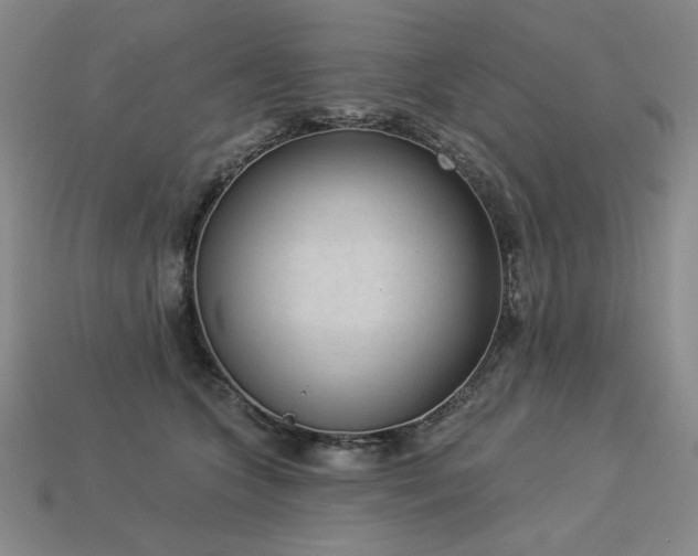 X0000113940563200909251243