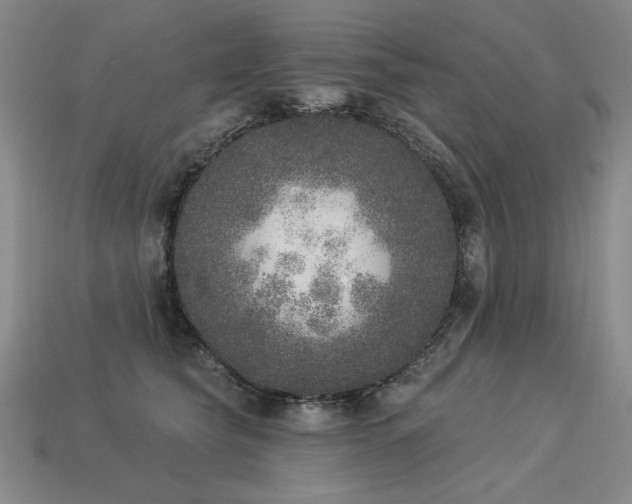 X0000113940565200909251243