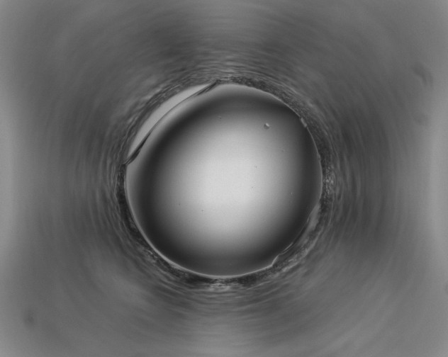 X0000113940566200909251243