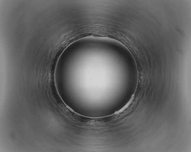 X0000113940568200909251243