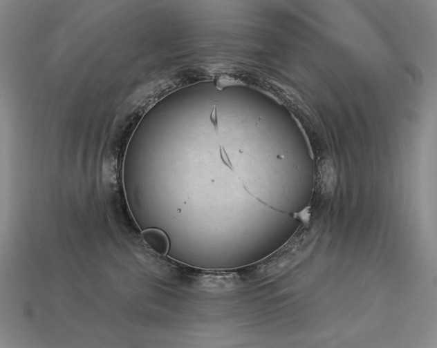 X0000113940571200909251243