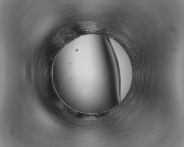 X0000113940572200909251243