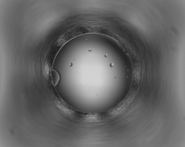 X0000113940574200909251243