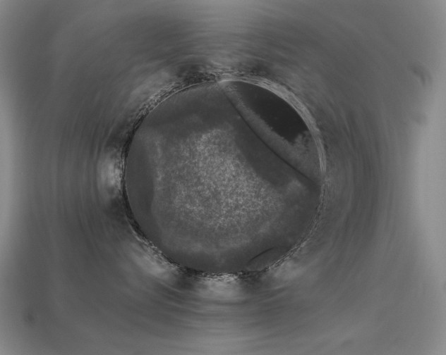 X0000113940576200909251243