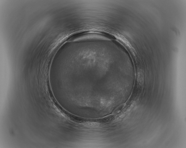 X0000113940577200909251242