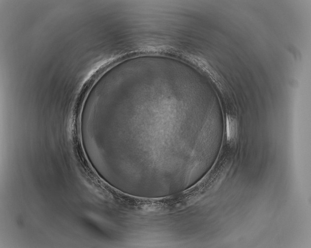 X0000113940579200909251242
