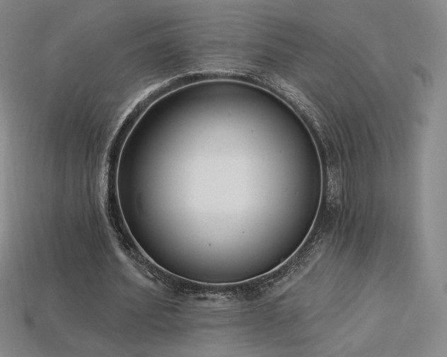 X0000113940580200909251242
