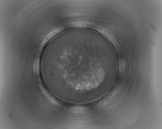 X0000113940581200909251242