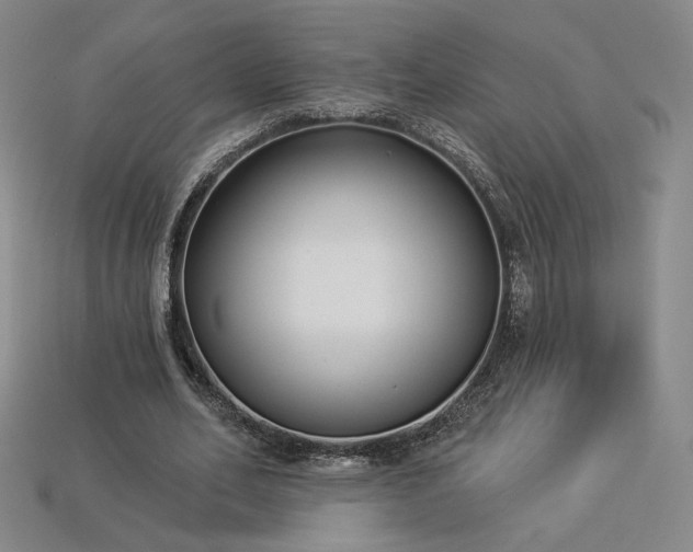 X0000113940582200909251242
