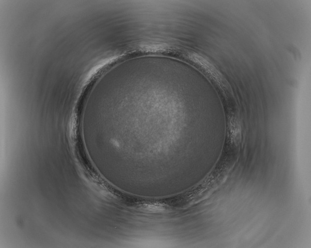 X0000113940583200909251242