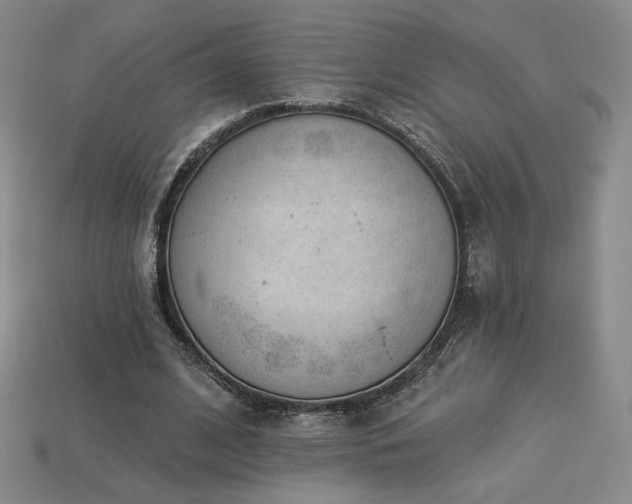 X0000113940584200909251242