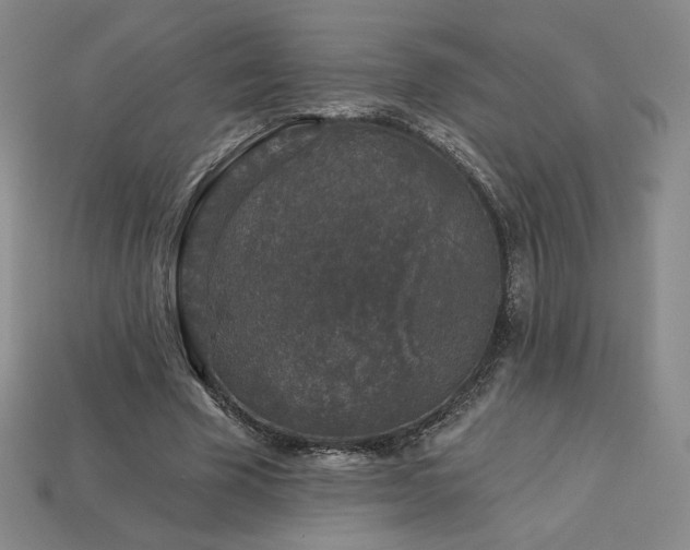 X0000113940585200909251242