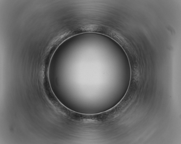 X0000113940586200909251242
